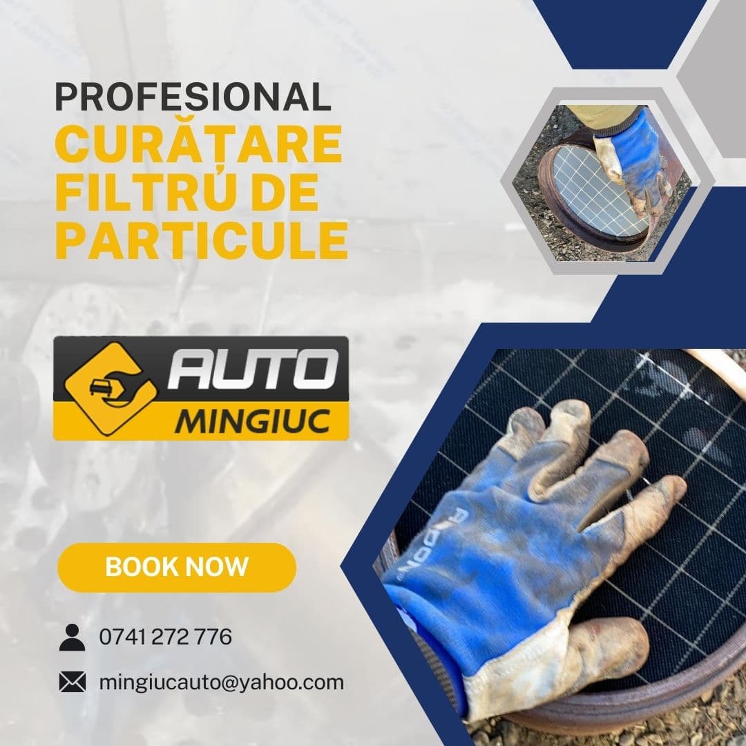 Serviciul Curățare Filtru de Particule AUTO Mingiuc