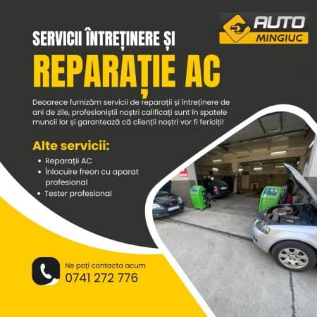 AUTO Mingiuc - imagine 9