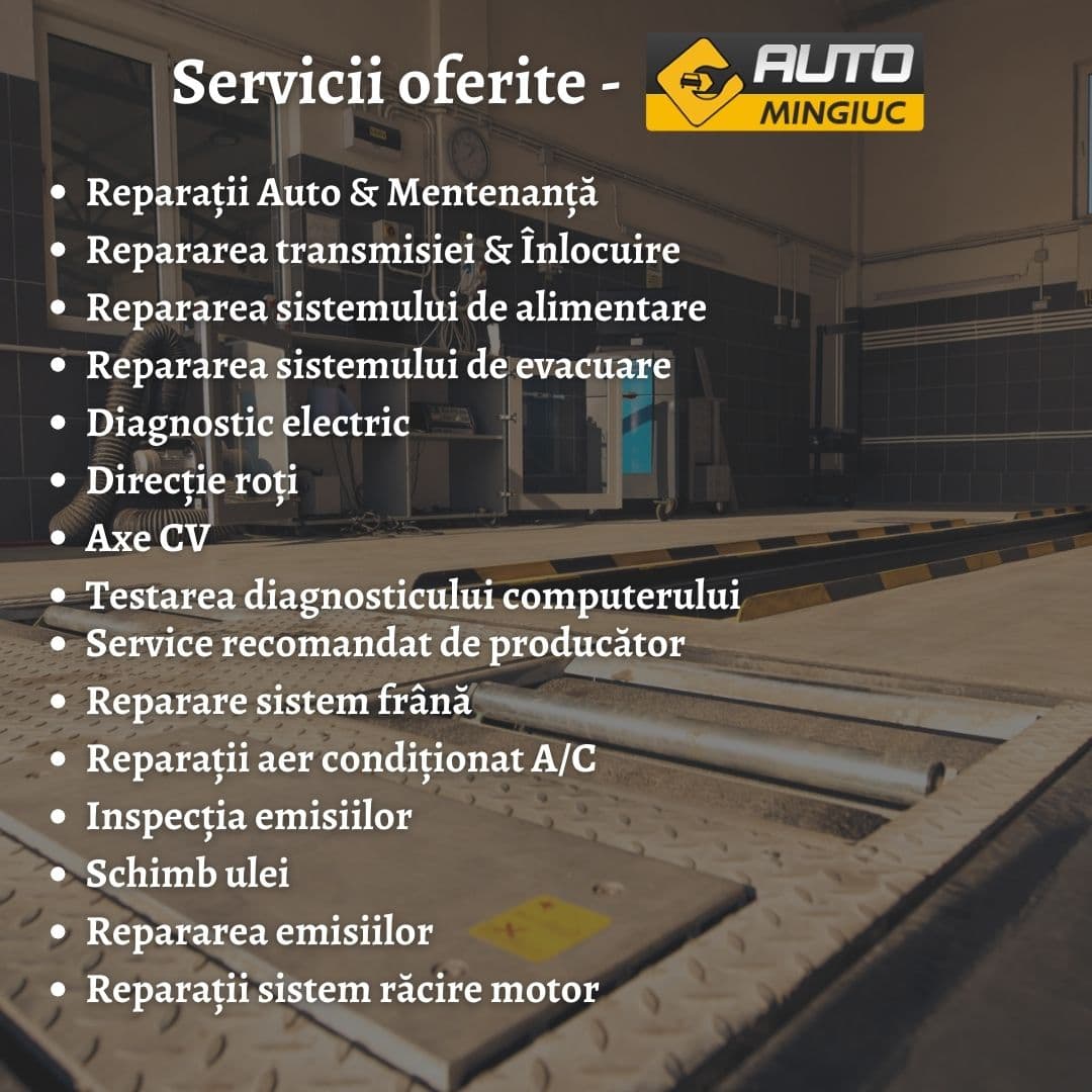 Galerie AUTO Mingiuc media 1