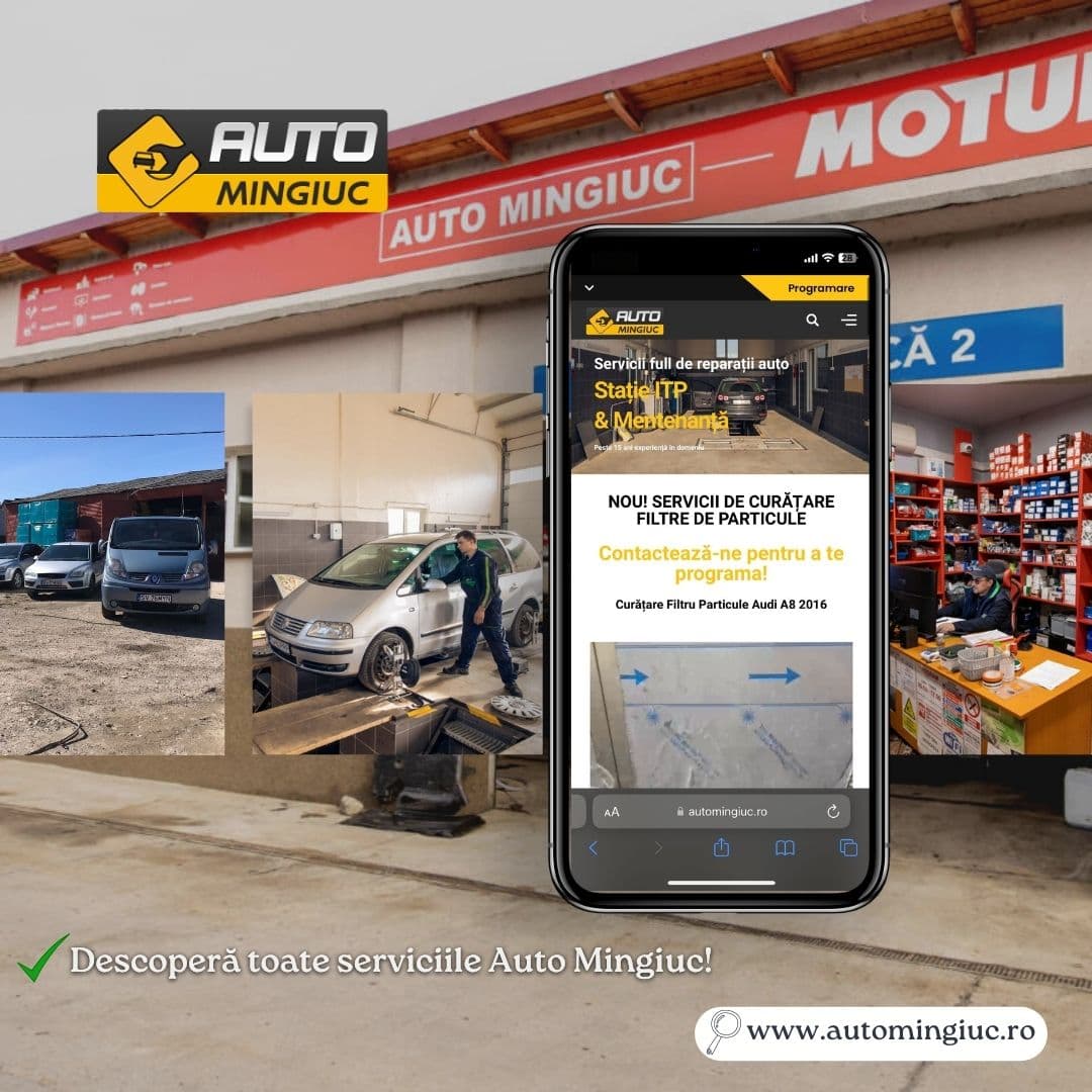 Serviciul Magazin Piese Auto AUTO Mingiuc